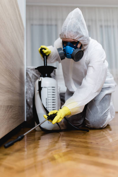 Best Residential Pest Control  in Ironde, AL